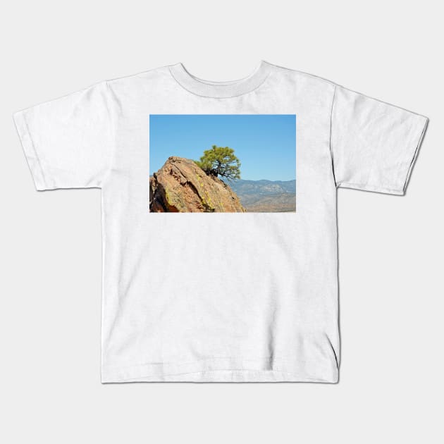 Shrub and Rock at Canon City Kids T-Shirt by bobmeyers